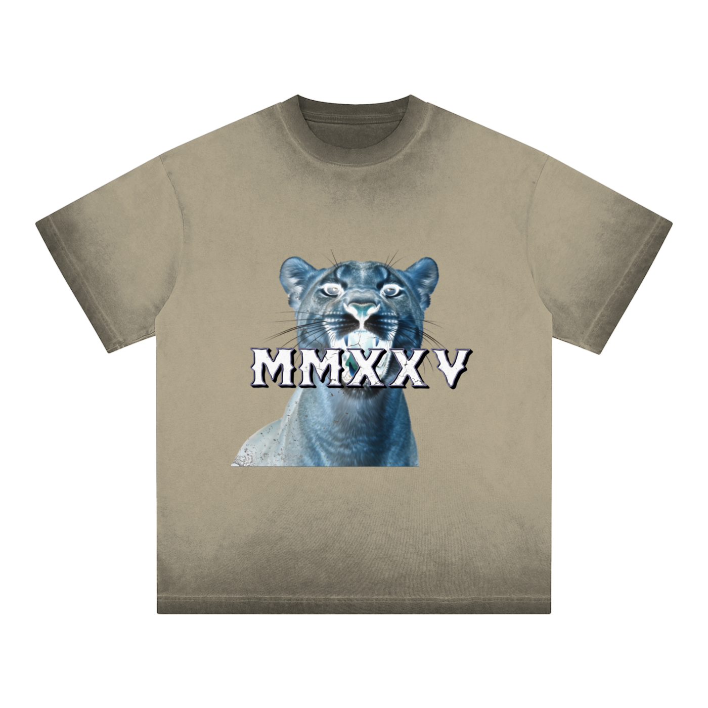 "MMXXV" Reverse Dyed Loose Cotton T-Shirt | ELEVATEDWEAR