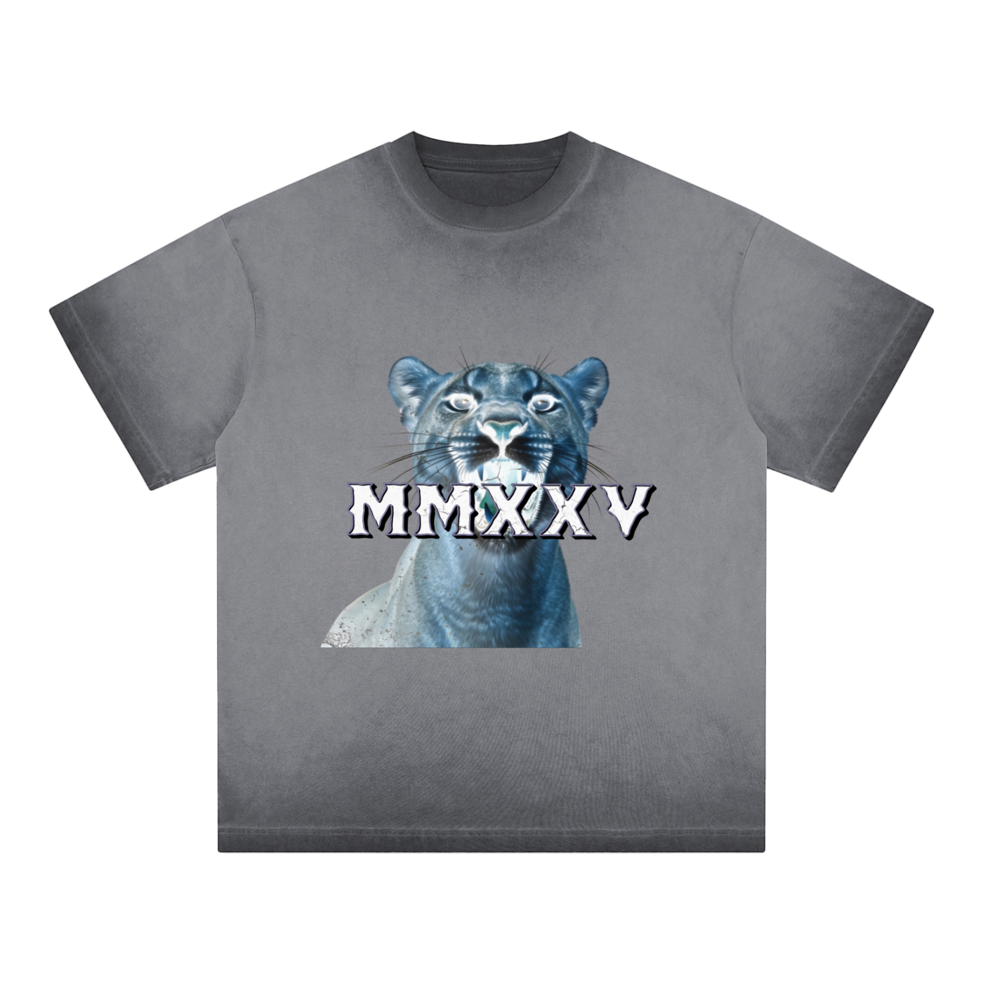 "MMXXV" Reverse Dyed Loose Cotton T-Shirt | ELEVATEDWEAR